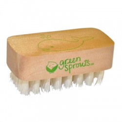Green Sprouts Nail Brush (1, 1 brush)