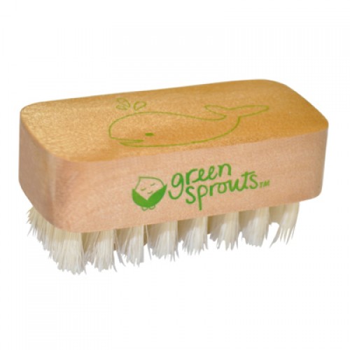 Green Sprouts Nail Brush (1, 1 brush)