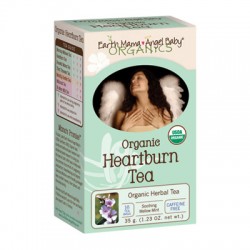 Earth Mama Angel Baby Heartburn Tea (1, 16 Tea Bags)