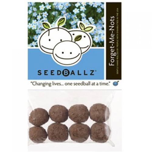 Seedballz Forget Me Not - 8 Pack 