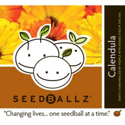 Seedballz Calendula - 8 Pack