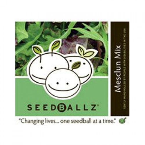 Seedballz Mesclun Salad - 8 Pack 