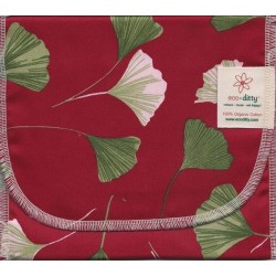 ecoditty Snack Ditty organic snack bag, Ginkgos