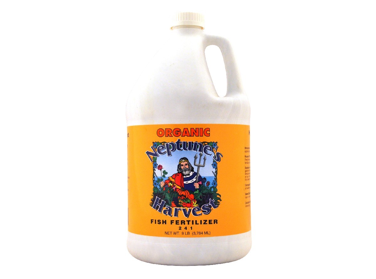 Neptune's Harvest Organic Hydrolyzed Fish Fertilizer, 241, 1 Gallon